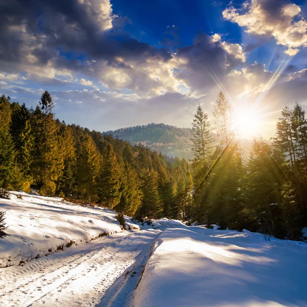 Verschneite Straße zum Nadelwald in den Bergen bei Sonnenuntergang — Stockfoto