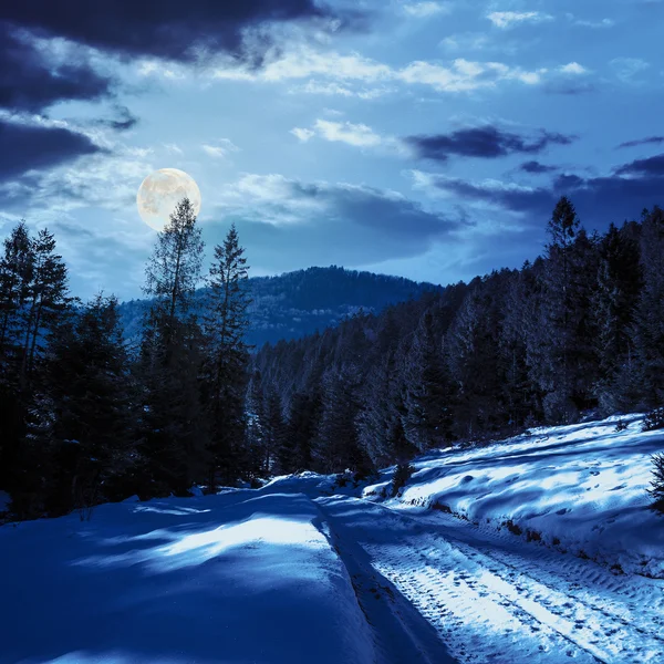 Besneeuwde weg naar naaldhout bos in Bergen nachts — Stockfoto