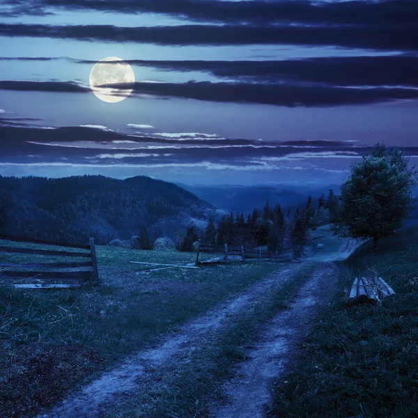 Albero su sentiero collinare attraverso prato in montagna nebbiosa di notte — Foto Stock