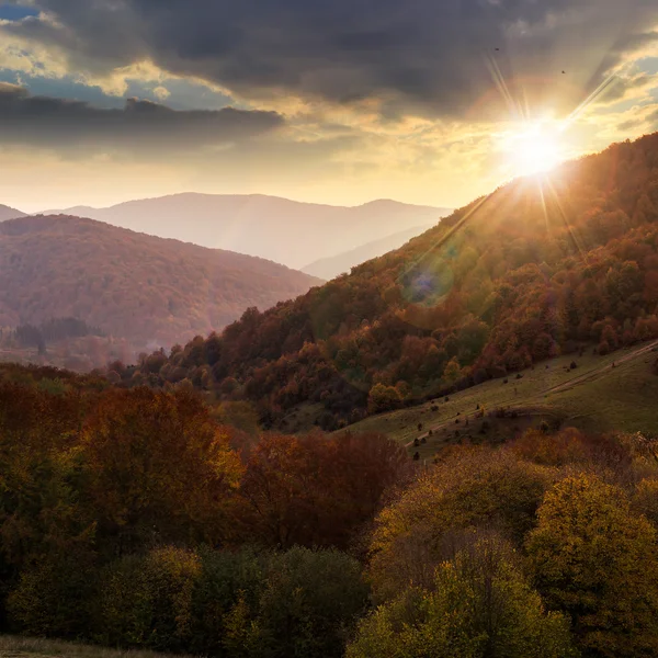 Autumn forest on a  mountain slope at sunset — Stock Photo, Image