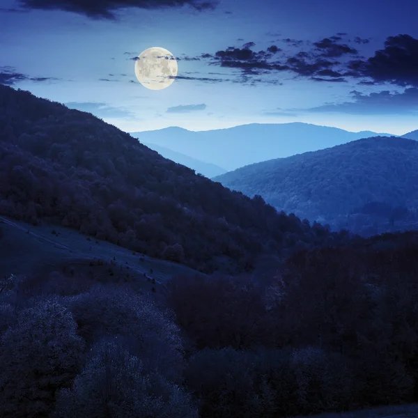 Autumn forest on a  mountain slope at night — Stock Photo, Image