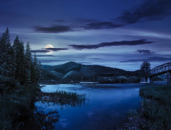 Лес и река возле деревни в горах ночью — стоковое фото