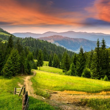 hillside dağ çayır çit