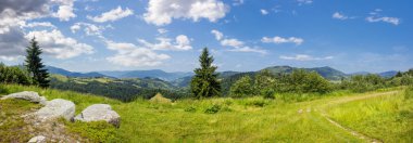 kayalar üzerinde dağ hillside çayır