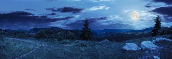 Kayalar üzerinde dağ gece hillside çayır