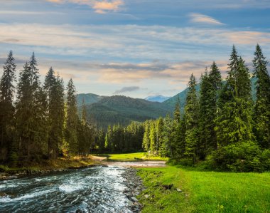 Çam ormanı gündoğumu, nehirde dağ