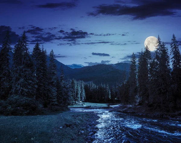 Horská řeka v borovém lese v noci — Stock fotografie