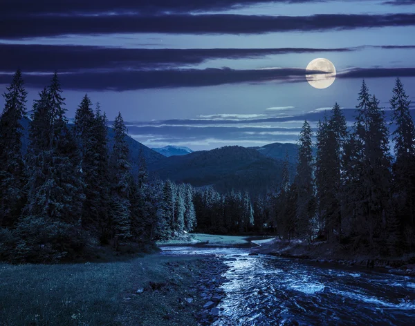 Río de montaña en bosque de pinos por la noche — Foto de Stock