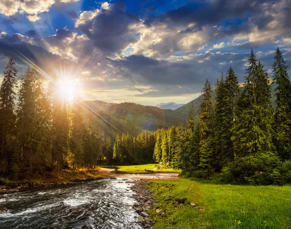 Rivière de montagne en pinède au coucher du soleil — Photo