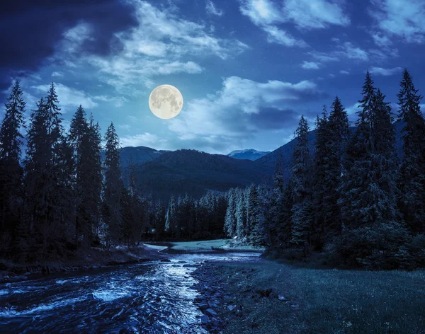 Fiume di montagna nella pineta di notte — Foto Stock