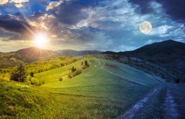 hillside dağ çayır çit