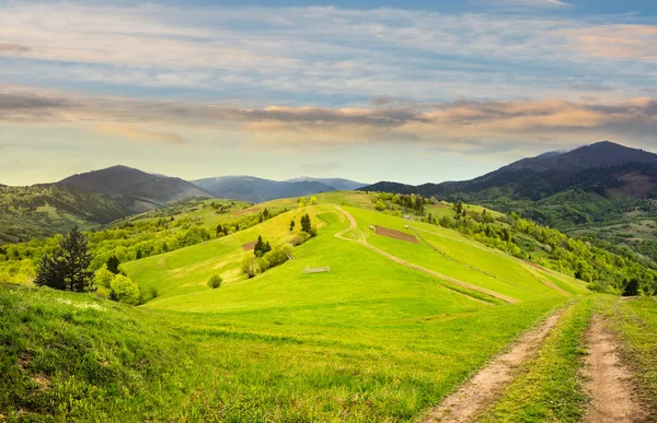 Staket på hillside äng i berg — Stockfoto