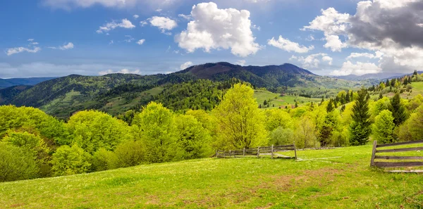 Staket på hillside äng i berg — Stockfoto