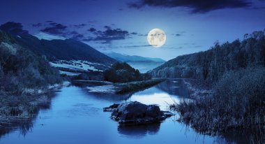 taşlar ve çim gece orman Nehri