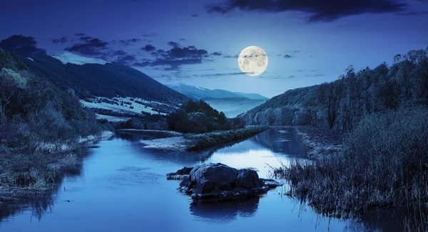 Râu de pădure cu pietre și iarbă noaptea — Fotografie, imagine de stoc