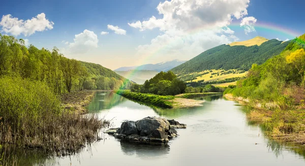 Waldfluss mit Steinen und Gras bei Sonnenaufgang — Stockfoto