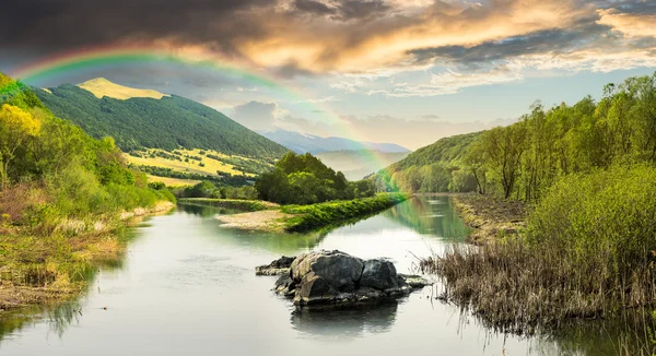 Forest river met stenen en gras met regenboog — Stockfoto