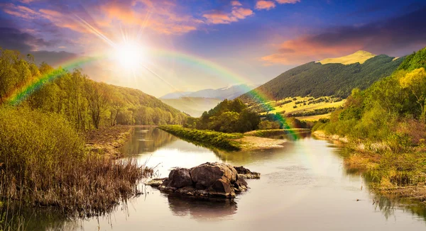 Fiume foresta con pietre ed erba al tramonto — Foto Stock