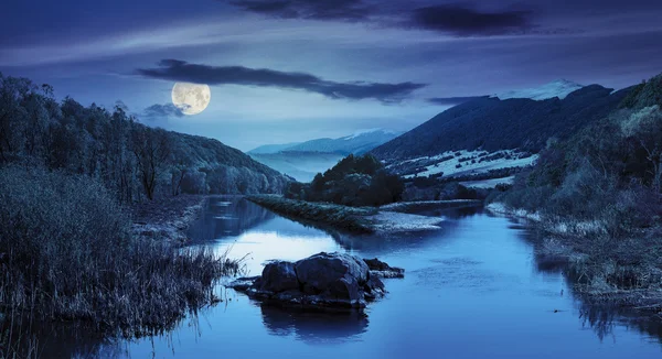 Лесная река с камнями и травой ночью — стоковое фото