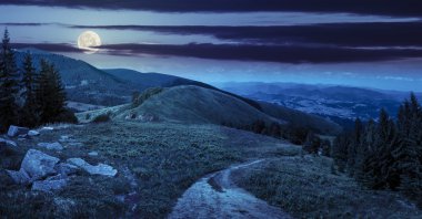 çam ağaçları gece dağda valley yakınındaki