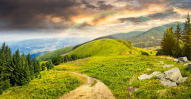 çam ağaçları yakınındaki dağ sunrise adlı vadide