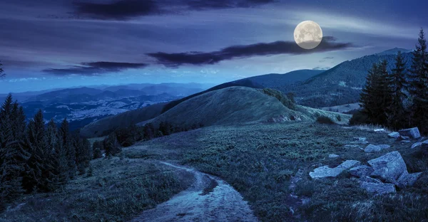 çam ağaçları gece dağda valley yakınındaki