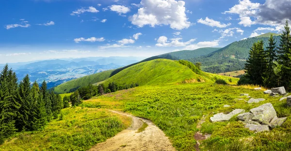 Tallar nära valley i berg — Stockfoto