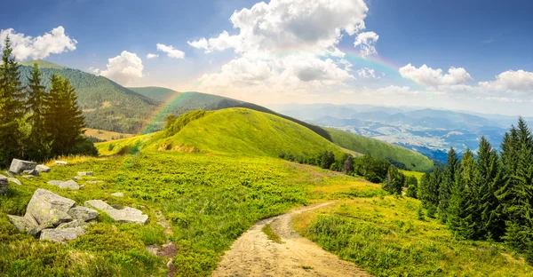 Pini vicino a valle in montagna — Foto Stock