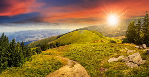 çam ağaçları yakınındaki dağ batımında vadide