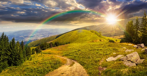 Pins près de la vallée en montagne au coucher du soleil — Photo