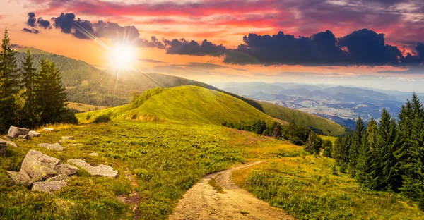 Borovic údolí v horách při západu slunce — Stock fotografie