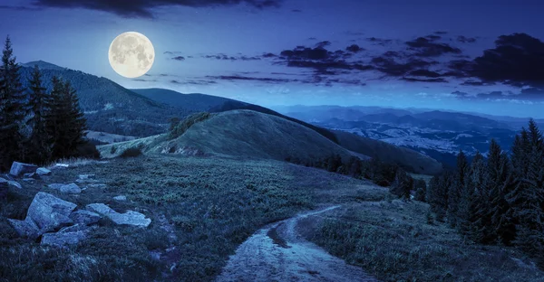 Kiefern in der Nähe des Tales in den Bergen bei Nacht — Stockfoto