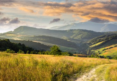 dağ sunrise adlı çayırda hillside yolda
