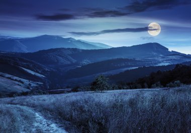 hillside çayır gece dağ yolunda