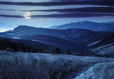 hillside çayır gece dağ yolunda
