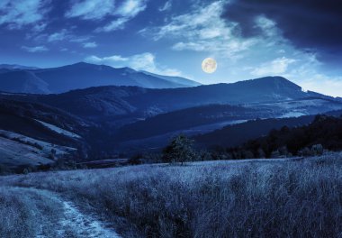 hillside çayır gece dağ yolunda