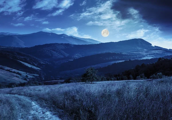 Sentier à flanc de colline prairie en montagne la nuit — Photo