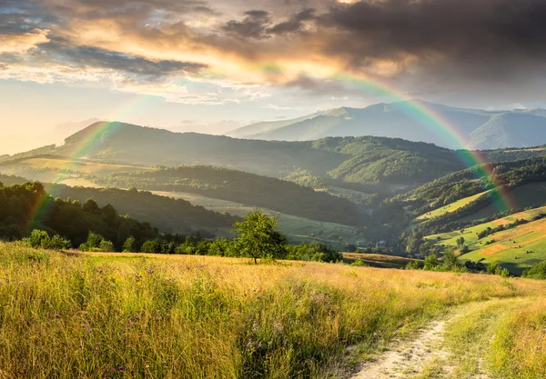 Weg auf Hangwiese in Berg — Stockfoto