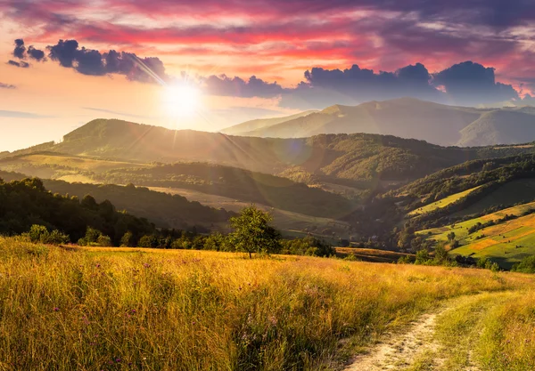 Ścieżka na wzgórzu łąka w górach na zachodzie słońca — Zdjęcie stockowe