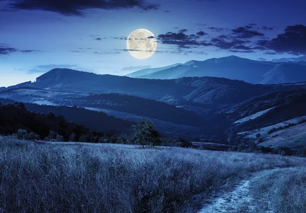 Weg auf Hangwiese in Berg bei Nacht — Stockfoto