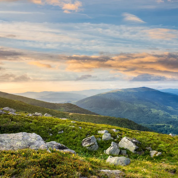 Mountain sluttning med vita stenblock — Stockfoto