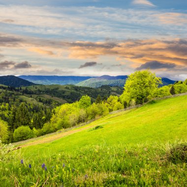 dağ sunrise adlı hillside çayır çit