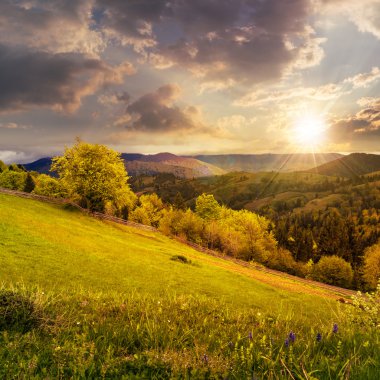 hillside günbatımında dağ çayır çit