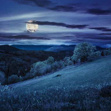 hillside gece dağ çayır çit