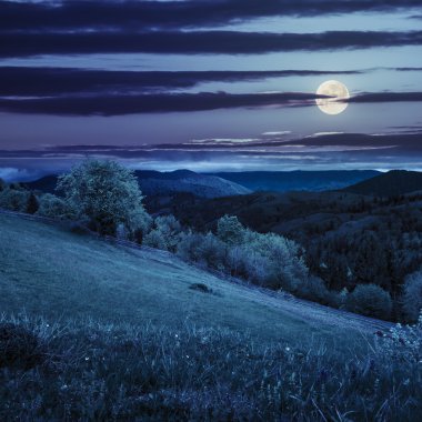 hillside gece dağ çayır çit