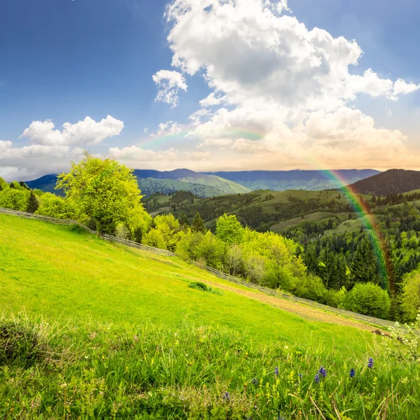 Fence on hillside meadow in mountain at sunrise — Stock Photo, Image