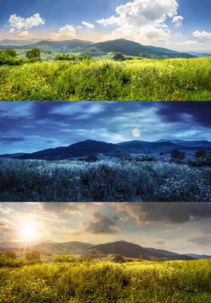 山の花の草原 — ストック写真