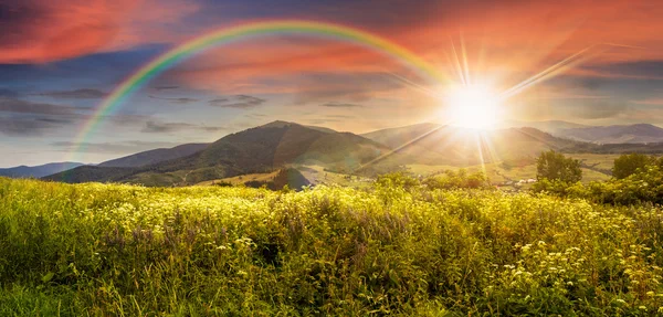 Prairie avec des fleurs en montagne au coucher du soleil — Photo