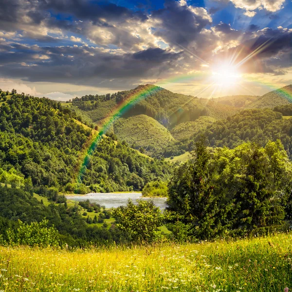 gün batımında dağlarında Çayır yakınındaki çam ağaçları