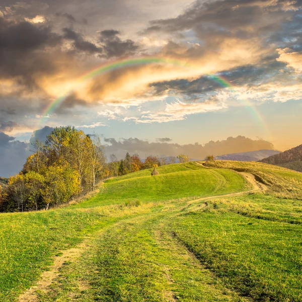 Sentiero sul prato collinare in montagna all'alba — Foto Stock